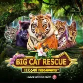 Big Cat Rescue Megaways game screenshot